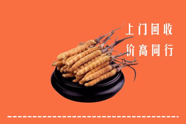 高价求购：果洛州回收散虫草